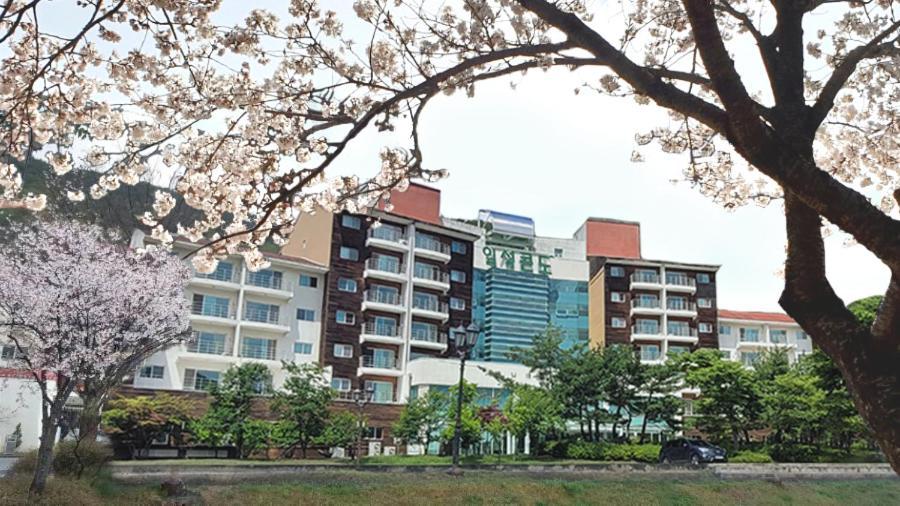 Muju Ilsung Condo Exteriér fotografie